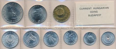 1981. 2f-10Ft 9db klf, érmés forgalmi sor fóliatokban T:1