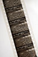 1926 A budapesti vizes világbajnokságon játszott Svédország- Belgium vizilabda mérkőzésről szóló ere...