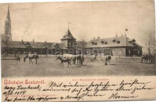 1899 Écska, Ecka; Gróf Harnoncourt kastélya / castle (r)