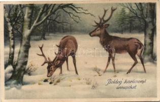 4 db RÉGI vadász motívumlap, vegyes minőség / 4 old hunter motive postcards, mixed quality