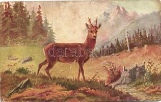 4 db RÉGI vadász motívumlap, vegyes minőség / 4 old hunter motive postcards, mixed quality