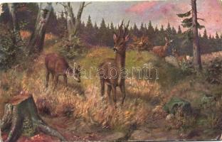 4 db RÉGI vadász motívumlap, vegyes minőség / 4 old hunter motive postcards, mixed quality