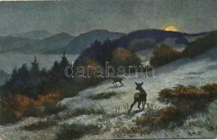 5 db RÉGI vadász motívumlap, vegyes minőség / 5 old hunter motive postcards, mixed quality