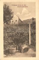 6 db RÉGI városképes képeslap, Balaton parti települése, Badacsony, Siófok, Balatonaliga, Tihany, Ke...