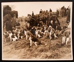 1933 Készülődés a rókavadászatra,  Vajda Miksa pecséttel jelzett verzón feliratozott korabeli sajtó ( Új Idők) fotó, 20x25cm