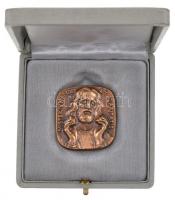 Vaikán 1968. "VI. Pál pápa / Misterium fidei et caritas" Br emlékérem eredeti tokban. Szig...