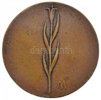 Mikus Sándor (1903-1982) 1933. "Kata" Br plakett (60mm) T:2-
HPII 1901