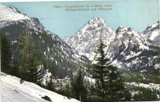 Tátra, Tatra; 3 db régi képeslap Tarpatakfüred, Fenyőháza, Tátralomnic, vegyes minőség / Lubochna, T...