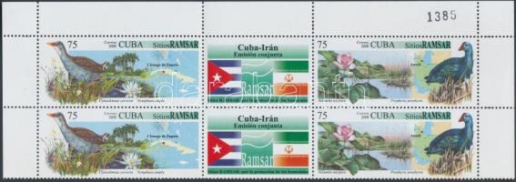 Cuba-Iran friendship; bird set corner block of 6 with coupon, Kuba-Iráni barátság; Madár sor ívsarki szelvényes hatostömbben