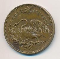 Nagy-Britannia ~1860-1900. "Jenny Lind" Cu zseton (19mm) T:2-
Great Britain ~1860-1900. &...