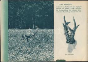 cca 1930 Ungarn, vadászati prospektus, sok fotóval, német nyelvű,  pp.:12, 16x24cm