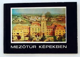 Molnár Ernő et alii (szerk.): Mezőtúr képekben.  Szolnok, 1974, Szolnoki Nyomdaipari Vállalat. Kiadói papír kötésben fedőborítóval, néhány lap elvált