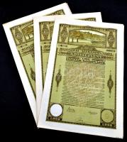 Budapest 1920. "Budapest Székesfőváros" kötelezvények 1000K-ról (3x) sorszámkövetők, mindh...