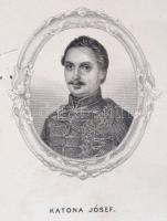 Gyulai Pál: Katona József és Bánk bánja. Bp., 1883, Franklin-Társulat. 1 t. VII+309 p. Korabeli félv...