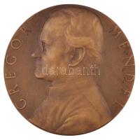 Csehszlovákia 1984. "Gregor Mendel" kétoldalas Br emlékérem. Szign.: V.A. Kovanic (59,5mm) T:1-,2 Czechoslovakia 1984. "Gregor Mendel" two sided Br medallion "GREGOR MENDEL / MUSEUM MORAVIAE BRUNENSE 1884-1984" Sign.: V.A. Kovanic (59,5mm) C:AU,XF