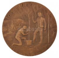 Csehszlovákia 1984. "Gregor Mendel" kétoldalas Br emlékérem. Szign.: V.A. Kovanic (59,5mm)...