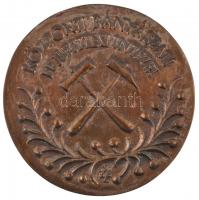 Sz. Egyed Emma (1935-) DN "Központi Bányászati Fejlesztési Intézet" kétoldalas Br plakett ...