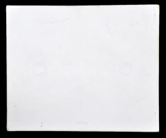 1971. "ICAMC Balatonfüred" bányászati, jelzett herendi bisquit porcelán plakett (122x101mm...