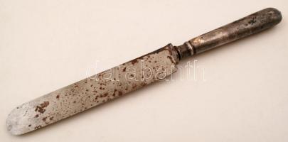 Ezüstözött nyelű alpakka kés (4db), jelzett, h:25,5 cm