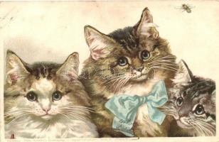 1899 Cats, Theo Stroefers Kunstverlag, Aquarell-Postkarten Serie V. No. 601 litho