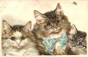 1899 Cats, Theo Stroefer's Kunstverlag, Aquarell-Postkarten Serie V. No. 601 litho