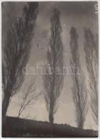 cca 1935 Nyárfák a víztükörben, jelzés nélküli vintage fotó Kinszki Imre (1901-1945) hagyatékából, 8,5x6 cm