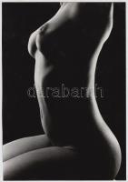 cca 1985 Torzó, jelzés nélküli vintage fotóművészeti alkotás, 24x18 cm / nude photo, 24x18 cm