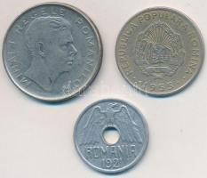 Románia 1921. 50b Al + 1943. 100L Ni borítású acél + 1955. 50b Cu-Ni T:2,2-
Romania 1921. 50 Bani A...