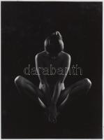 cca 1980 Miklós Pálné: Sziluett, feliratozott vintage fotóművészeti alkotás, 24x18 cm