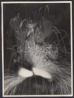 cca 1960 Tóth Gusztávné: Hegesztés, feliratozott vintage fotóművészeti alkotás, 23x17,5 cm