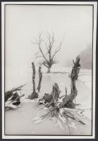 cca 1980 Péntek László: Köd-kép, feliratozott vintage fotóművészeti alkotás, 24x17 cm