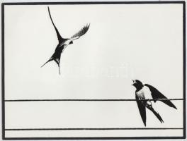 cca 1972 Gebhardt György (1910-1993): Vita, jelzés nélküli vintage fotóművészeti alkotás a szerző hagyatékából, 18x24 cm