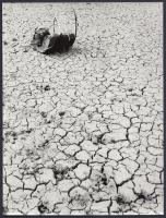 cca 1980 Magyar Alfréd: Aszály, pecséttel jelzett vintage fotóművészeti alkotás a szerző életművéből, 24x18 cm