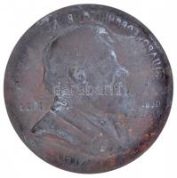 Ausztria 1890. "Eduard Forchheimer 70. születésnapjára" egyoldalas Br plakett. Szign.: Ant...