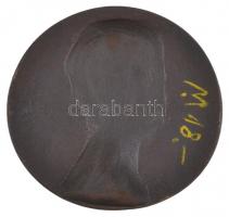 Német Birodalom 1910. "Hans Schimpf" egyoldalas Br érem mesterjegy nélkül, Alfred Lörcher ...