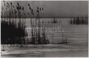 cca 1960 Tél a Velencei-tavon, jelzés nélküli vintage  fotóművészeti alkotás Nagy Ottó feliratú tároló tasakból, 24x15,5 cm