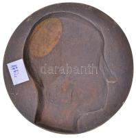 Német Birodalom ~1900. "Női portré" egyoldalas Br plakett peremen "C. POELLATH SCHROB...