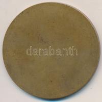 1911. "Női alak madárral" Br emlékérem. Szign.: TV (53mm) T:2
1911. "Woman with bird...