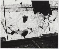 cca 1980 Védőháló alatt, jelzés nélküli vintage fotóművészeti alkotás, 18x22 cm