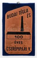 ~1970-1980. "100 éves a Budai Tégla és Cserépipari Vállalat" Br plakett eredeti tokban, be...