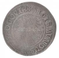 Német Államok / Szilézia 1506. 1Gr Ag "I. Zsigmond" Glogau (2g) T:3 patina
German States ...