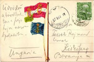 Österreichischer Lloyd, Dampfer Prinz Hohenlohe / Austrian steamship, litho maritime flag on backsid...