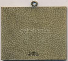 DN "Síelő" Br plakett, füllel, hátoldalán "E. SCHRÖN 8166 NEUHAUS" jelzéssel (50...