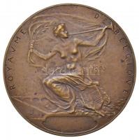 Belgium 1905. "Belga Királyság 1905 / Nemzetközi Világkiállítás Liege" Br emlékérem. Szign...