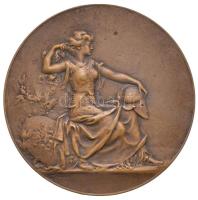Franciaország DN "Athéné" Br emlékérem. Szign.: Coudray (50mm) T:2 France ND "Athena" Br commemorative medal. Sign.: Coudray (50mm) C:XF