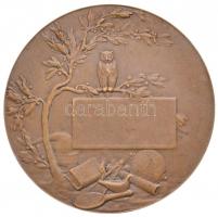 Franciaország DN "Athéné" Br emlékérem. Szign.: Coudray (50mm) T:2
France ND "Athena...