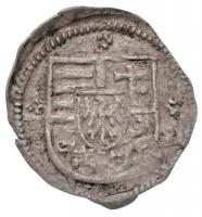 1501-1526. Obolus Ag  "II. Lajos" (0,22g) T:2
Huszár: 819., Unger I.: 652.d