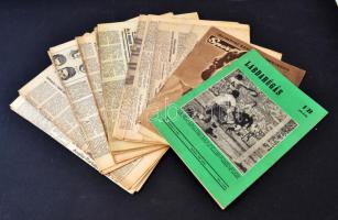 1956-72 Sport és Népsport, 32db benne 1962-es Labdarúgó vb különszám, és 1956-os képes Sport különszám,   különböző méretben és minőségben