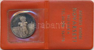 Olaszország 1972. "I Marenghi del Sole - hivatalos olasz turistaérmek" 11xklf db-ból álló ...