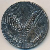 DN "Betakarítási idő" kétoldalas fém érem szignóval (43mm) T:2 patina
ND "Ernte-Zeit...